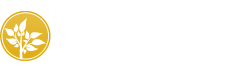 Logo de Mayores y Más